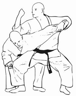 Karate - Anwendung von Kata-Bewegungen Karate: Anwendung von Kata-Bewegungen